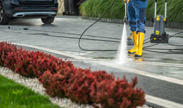 Best Roof Power Washing Services  in Beeville, TX